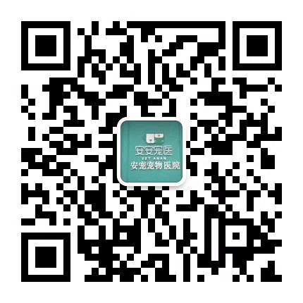 安安寵醫·安寵寵物醫院呂嶺路分院
