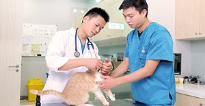 寵物醫院排行榜上的排名靠譜嗎?