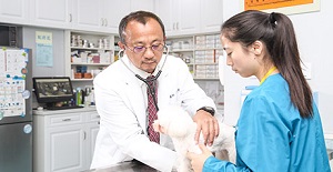 網上寵物醫院咨詢可信嗎?如何給寵物看病?