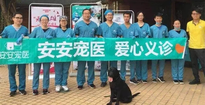 安安公益2018年度數據大公開