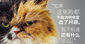 母貓絕育后性格會變嗎