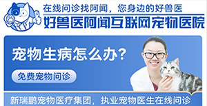 聯動愛寵狂歡節！好獸醫阿聞互聯網寵物醫院9月限時免費問診