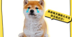 狗狗試紙測試一深一淺是細小嗎？