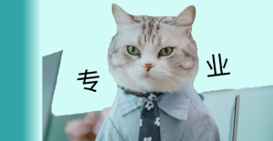 貓打噴嚏嘔吐，怎么回事？