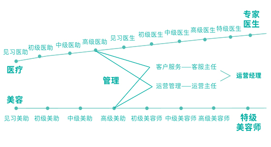 培訓(xùn)晉級(jí)路徑