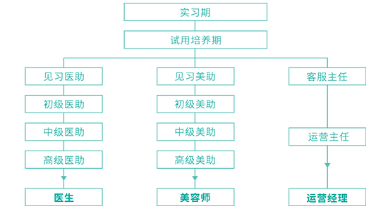 實(shí)習(xí)生培訓(xùn)晉級(jí)路徑